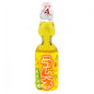 Boisson gazeuse ananas hata Ramune Soda 200ml Halal asian korean food maroc - Girlz box