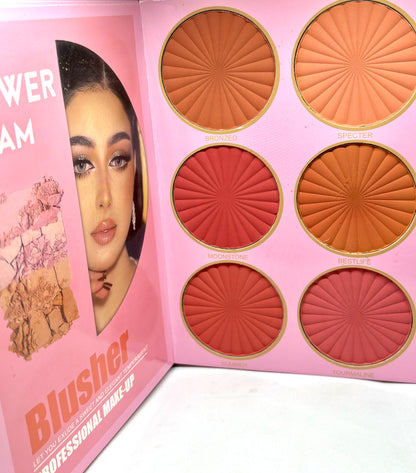 Grande palette 4 pages tout en 1 fards à paupières highlight blush brinzer contouring - Girlzbox